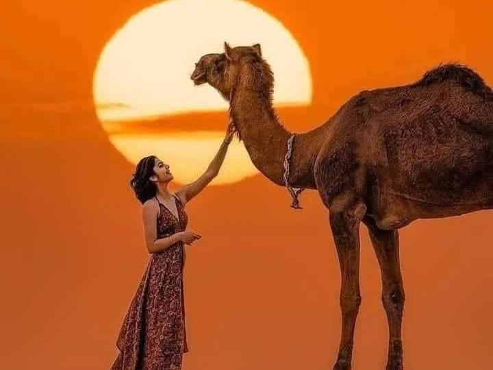 Om Luxury Resort Jaisalmer Exterior foto